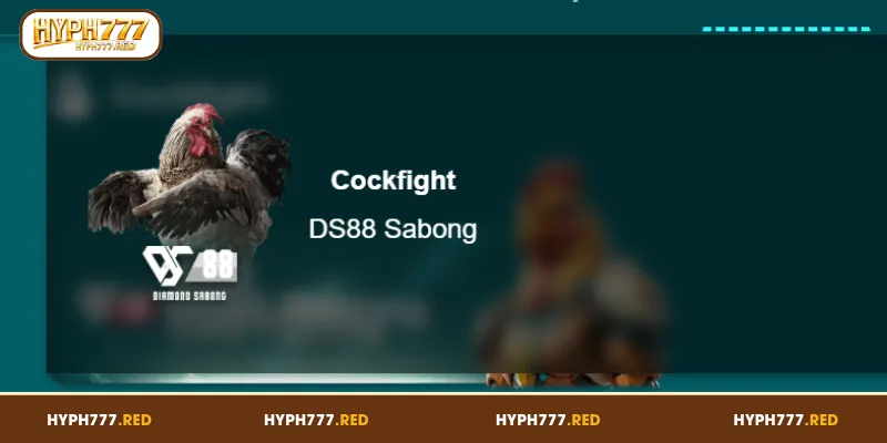 Sabong Online Experience Authentic Filipino Cockfighting Action